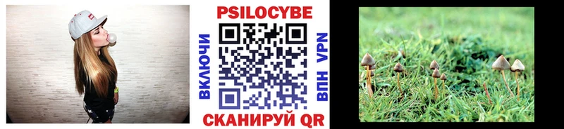 Галлюциногенные грибы MAGIC MUSHROOMS  сколько стоит  Шадринск 