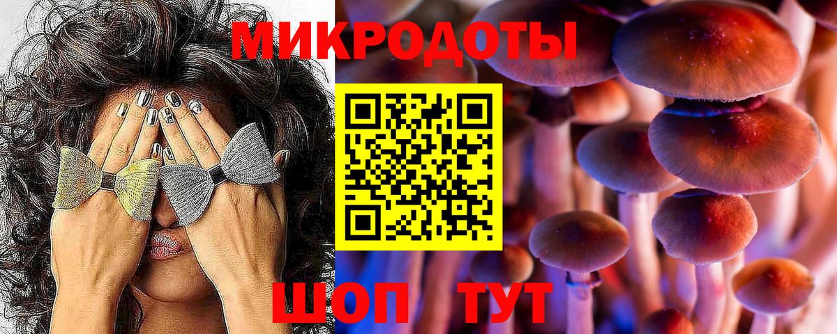 Псилоцибиновые грибы Psilocybine cubensis  Галлюциногенные грибы Magic Shrooms  Шадринск  Вход с VPN 